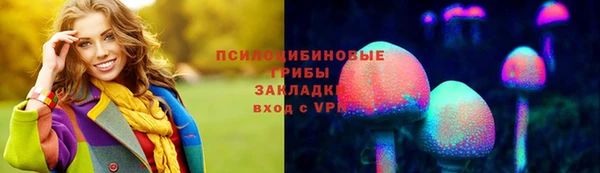 гашик Алзамай