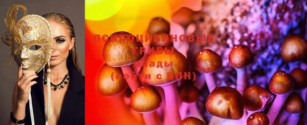 стаф Алексин