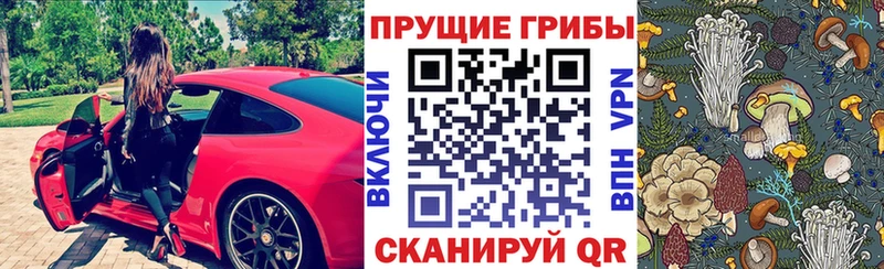 Купить где  Кулебаки  Галлюциногенные грибы мухоморы 
